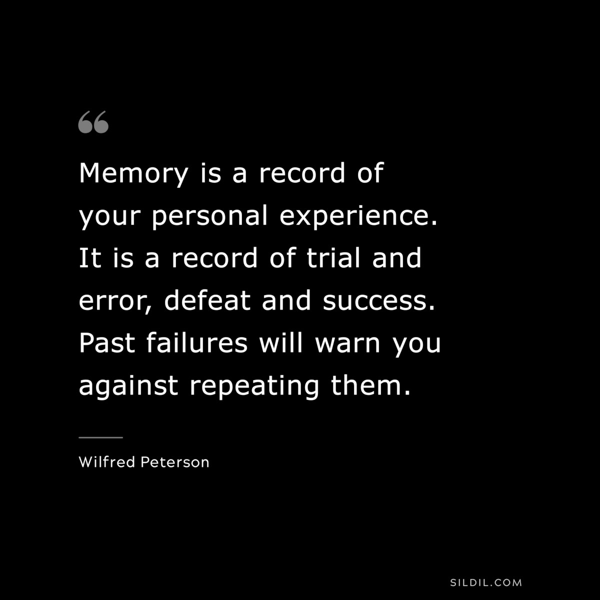 Memory is a record of your personal experience. It is a record of trial and error, defeat and success. Past failures will warn you against repeating them. ― Wilfred Peterson