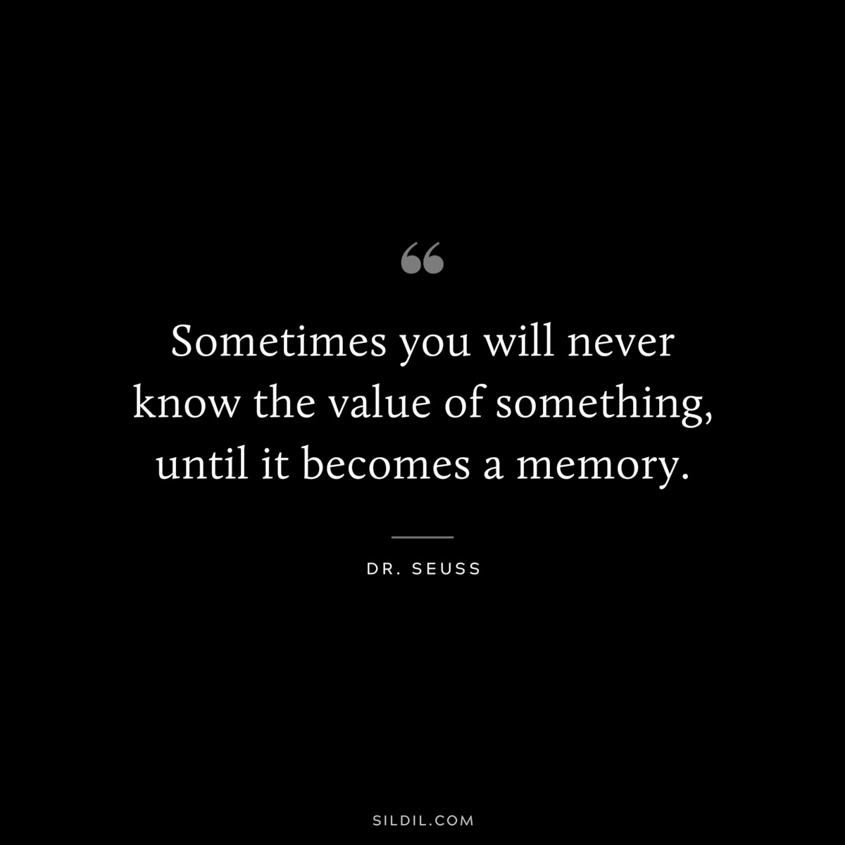Sometimes you will never know the value of something, until it becomes a memory. ― Dr. Seuss