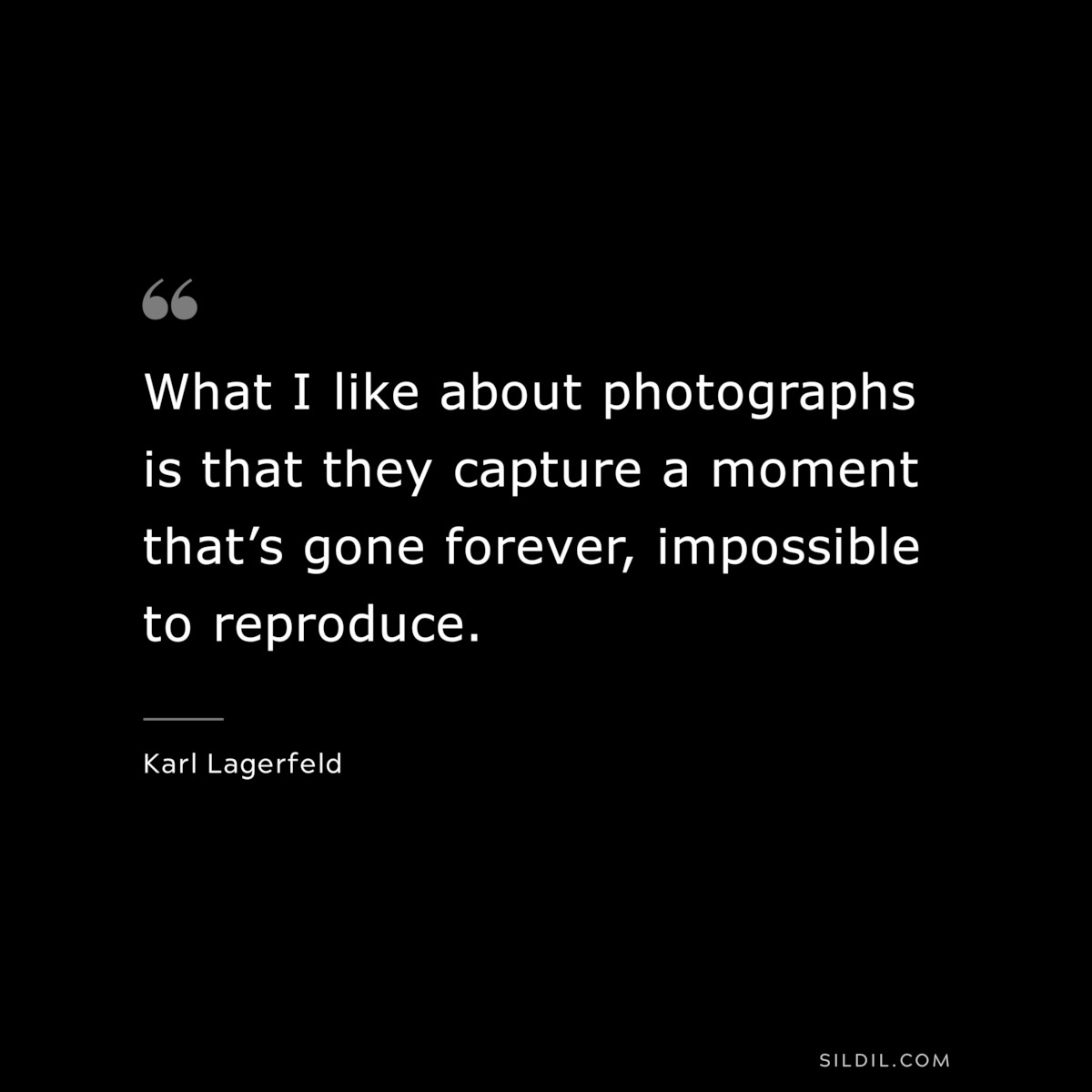What I like about photographs is that they capture a moment that’s gone forever, impossible to reproduce. ― Karl Lagerfeld