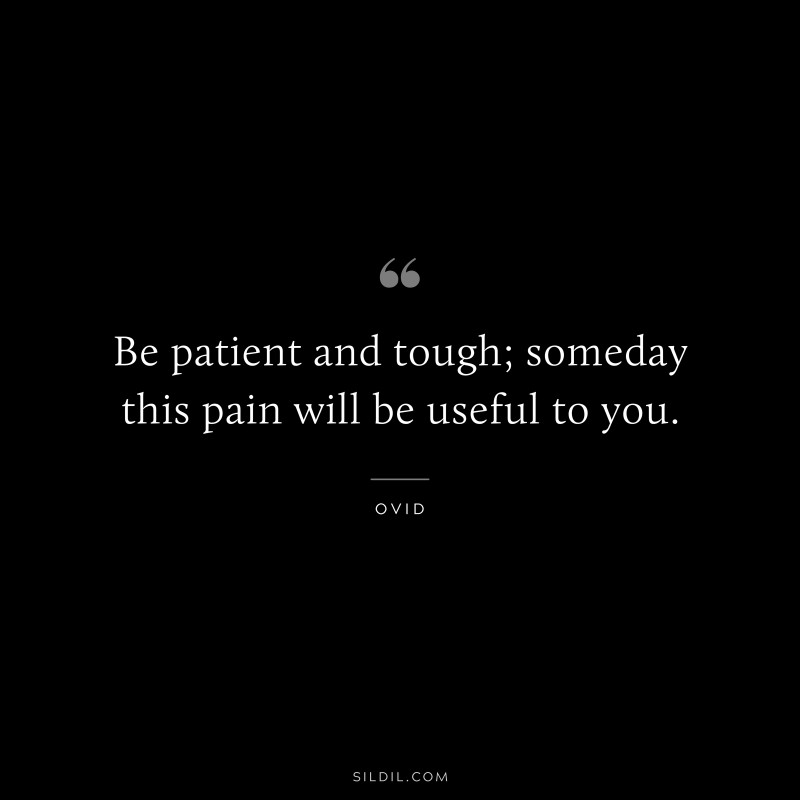 Be patient and tough; someday this pain will be useful to you. ― Ovid