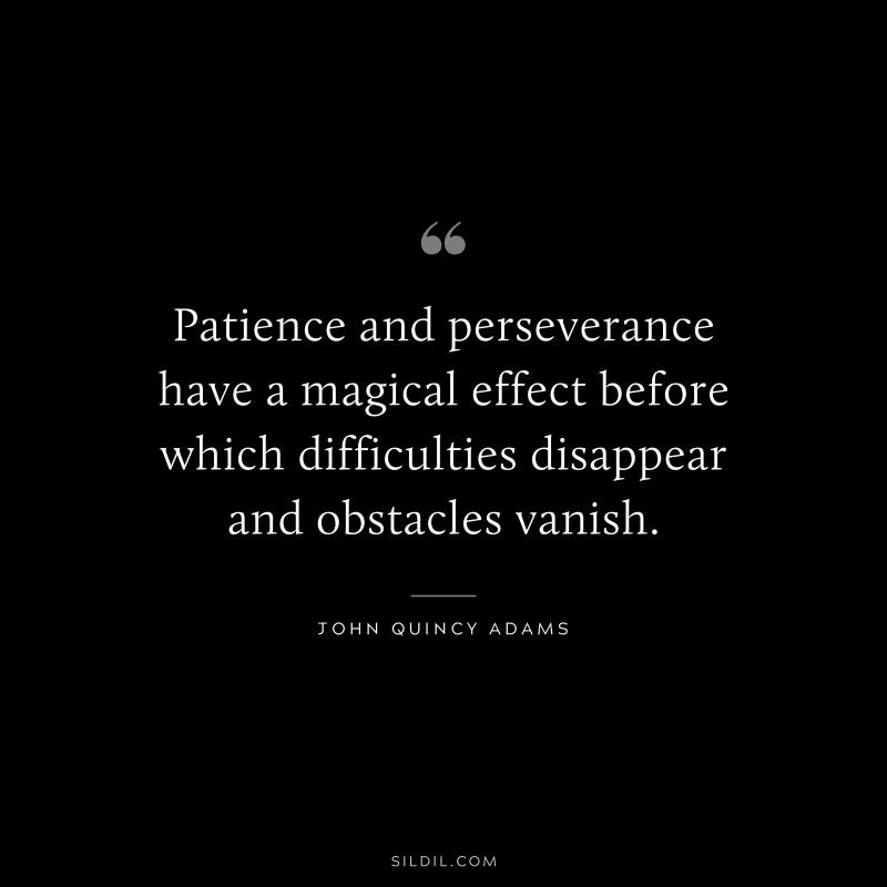 Patience and perseverance have a magical effect before which difficulties disappear and obstacles vanish. ― John Quincy Adams