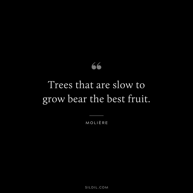 Trees that are slow to grow bear the best fruit. ― Molière