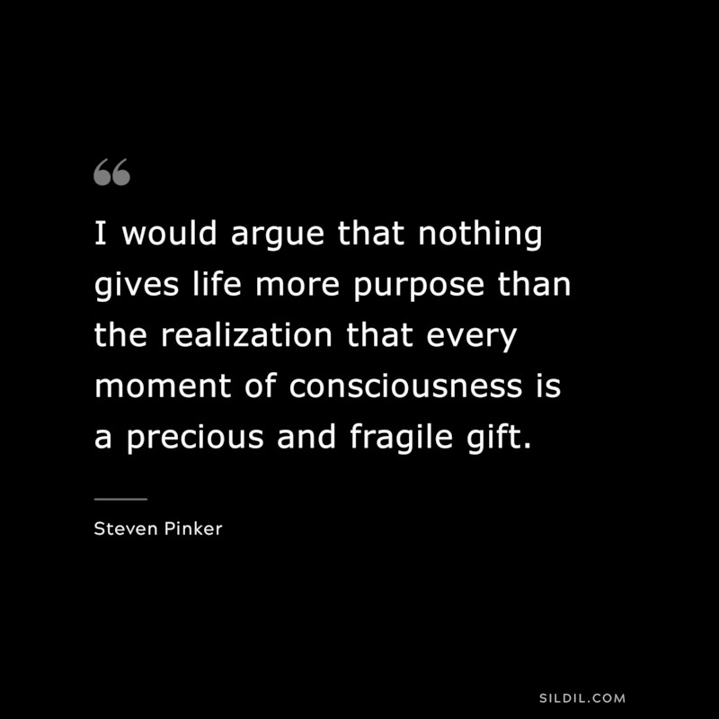 I would argue that nothing gives life more purpose than the realization that every moment of consciousness is a precious and fragile gift. ― Steven Pinker