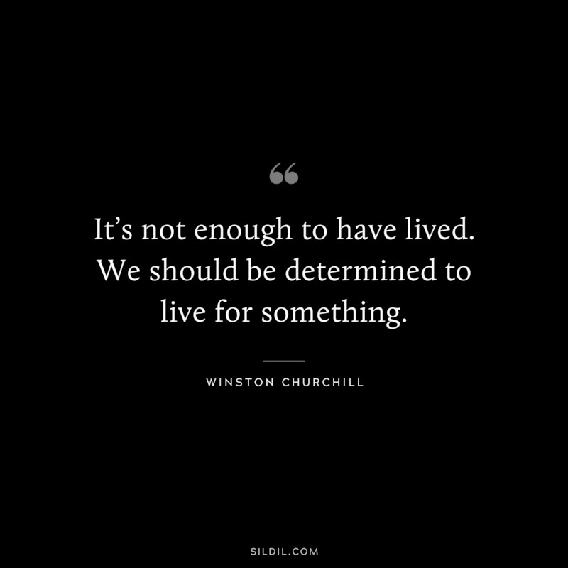 It’s not enough to have lived. We should be determined to live for something. ― Winston Churchill