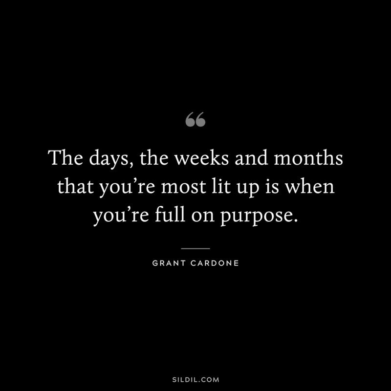 The days, the weeks and months that you’re most lit up is when you’re full on purpose. ― Grant Cardone