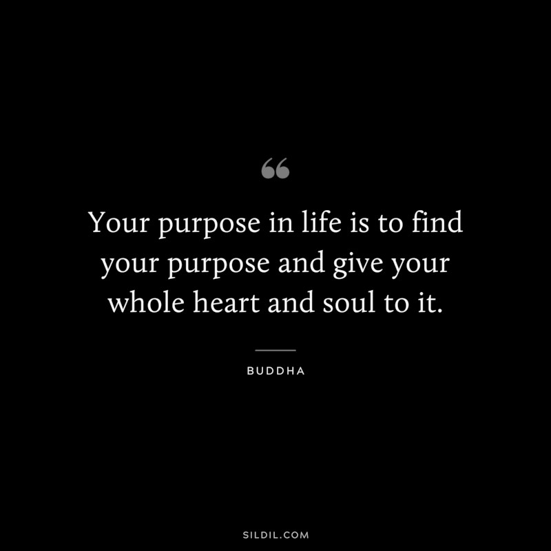 Your purpose in life is to find your purpose and give your whole heart and soul to it. ― Buddha