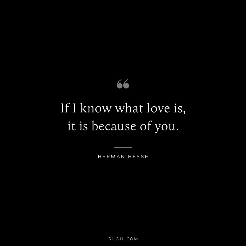 If I know what love is, it is because of you. ― Herman Hesse