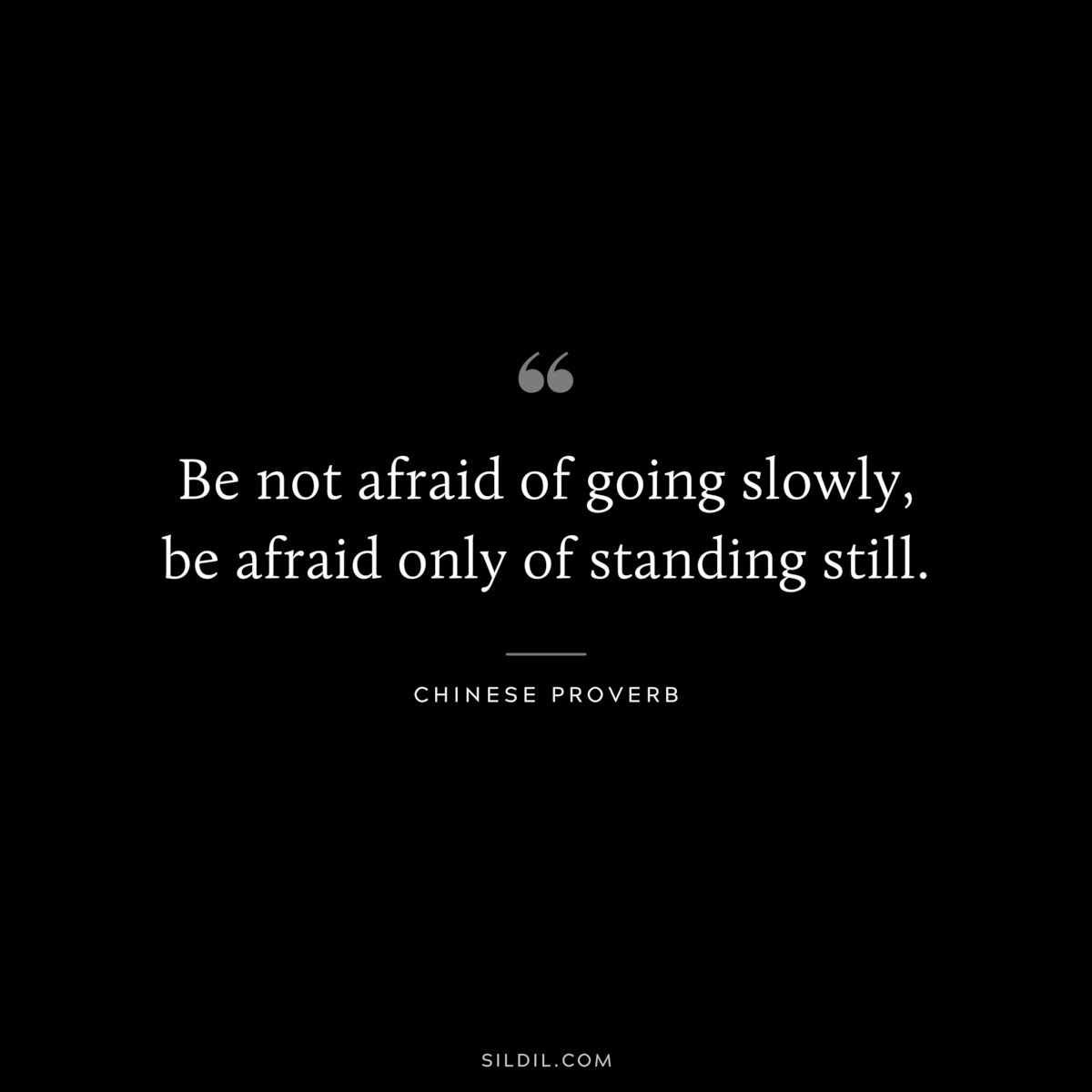 Be not afraid of going slowly, be afraid only of standing still. ― Chinese Proverb