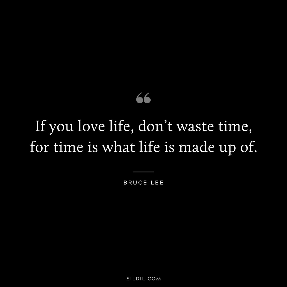 If you love life, don’t waste time, for time is what life is made up of. ― Bruce Lee