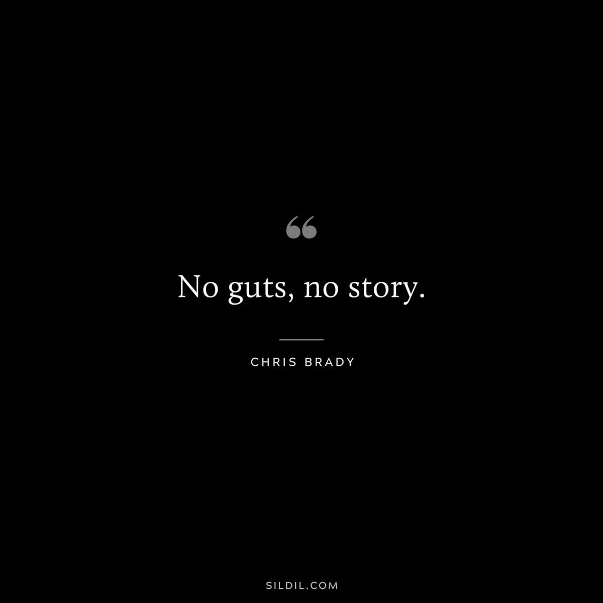 No guts, no story. ― Chris Brady