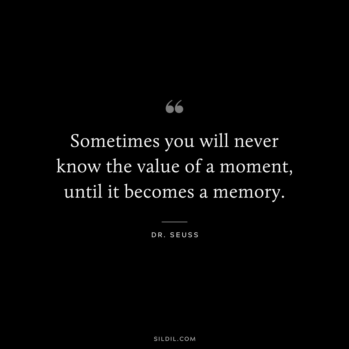 Sometimes you will never know the value of a moment, until it becomes a memory. ― Dr. Seuss