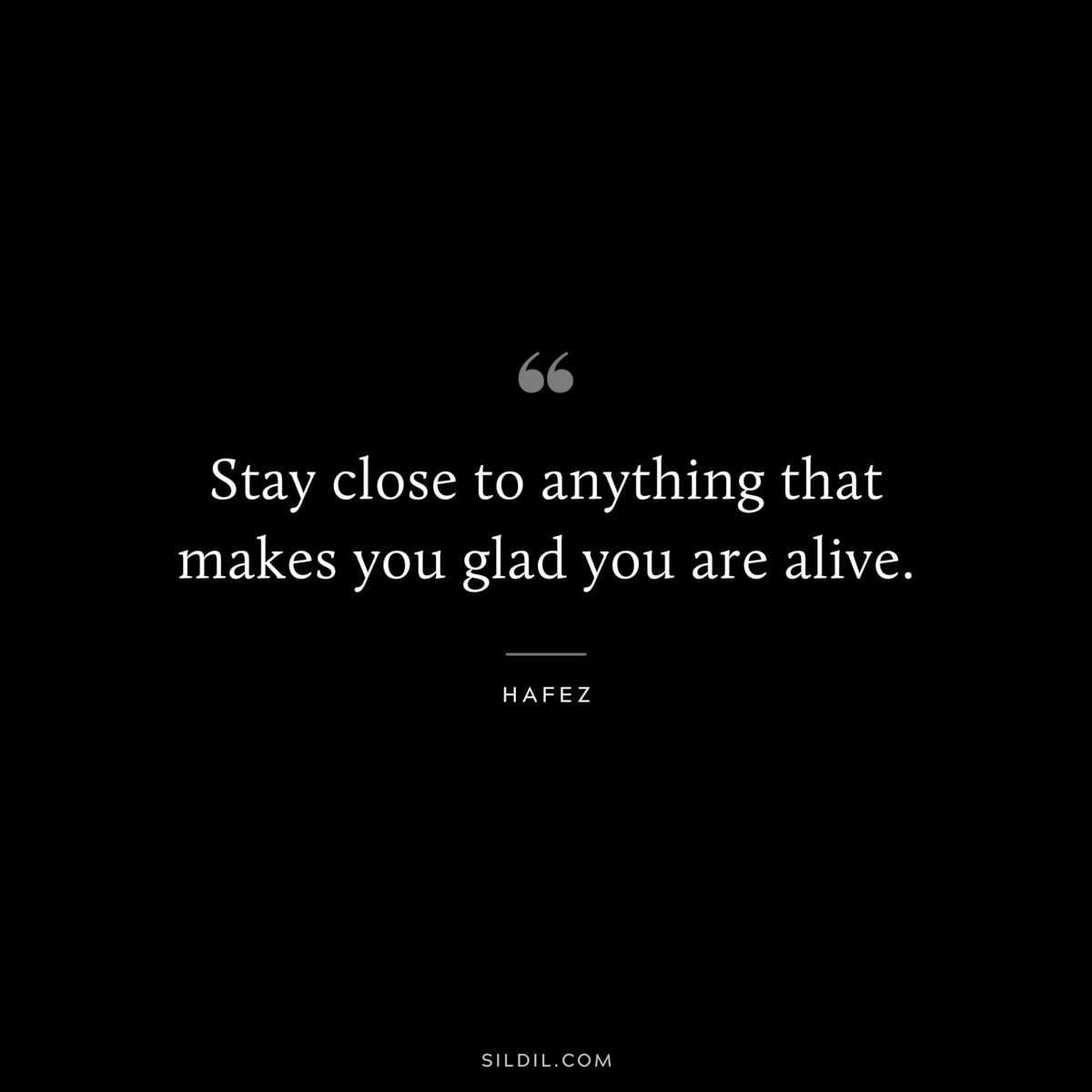 Stay close to anything that makes you glad you are alive. ― Hafez