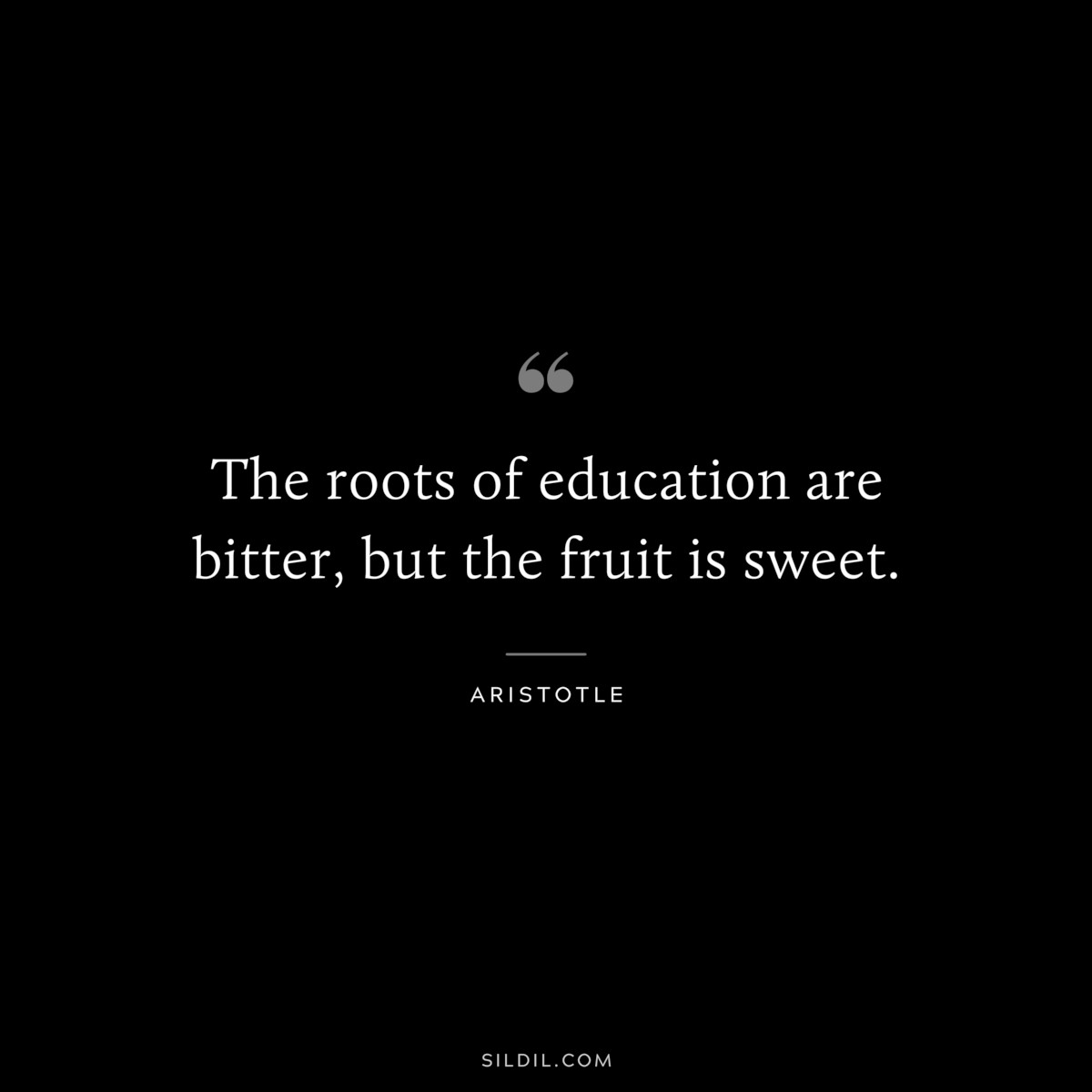 The roots of education are bitter, but the fruit is sweet. ― Aristotle