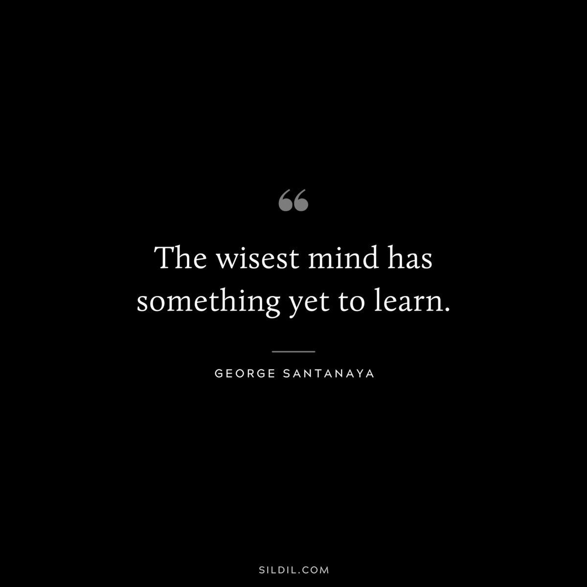 The wisest mind has something yet to learn. ― George Santanaya