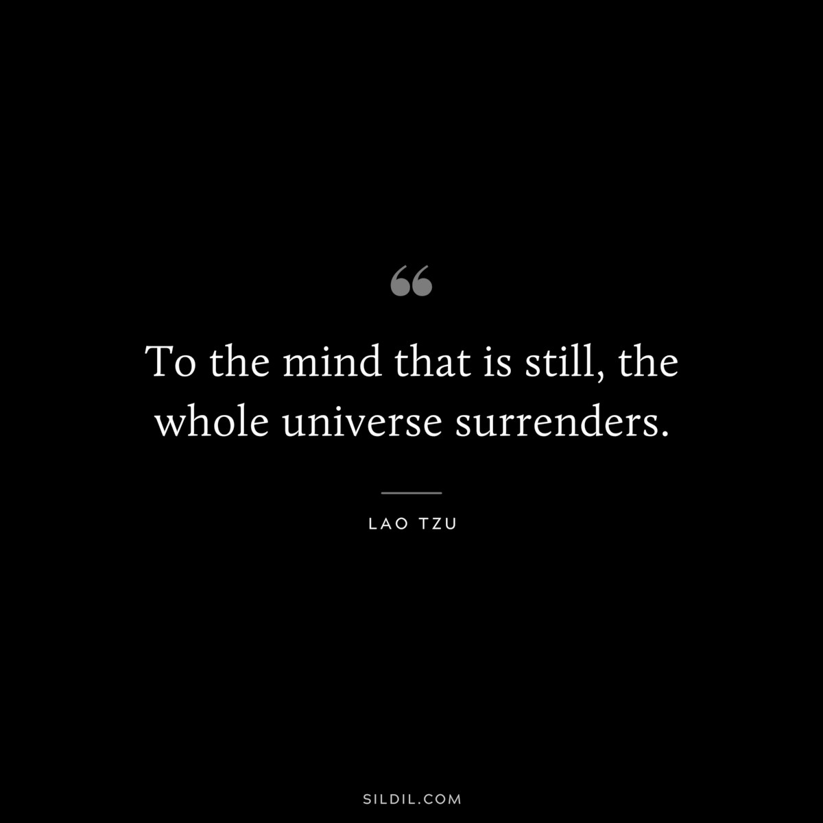 To the mind that is still, the whole universe surrenders. ― Lao Tzu