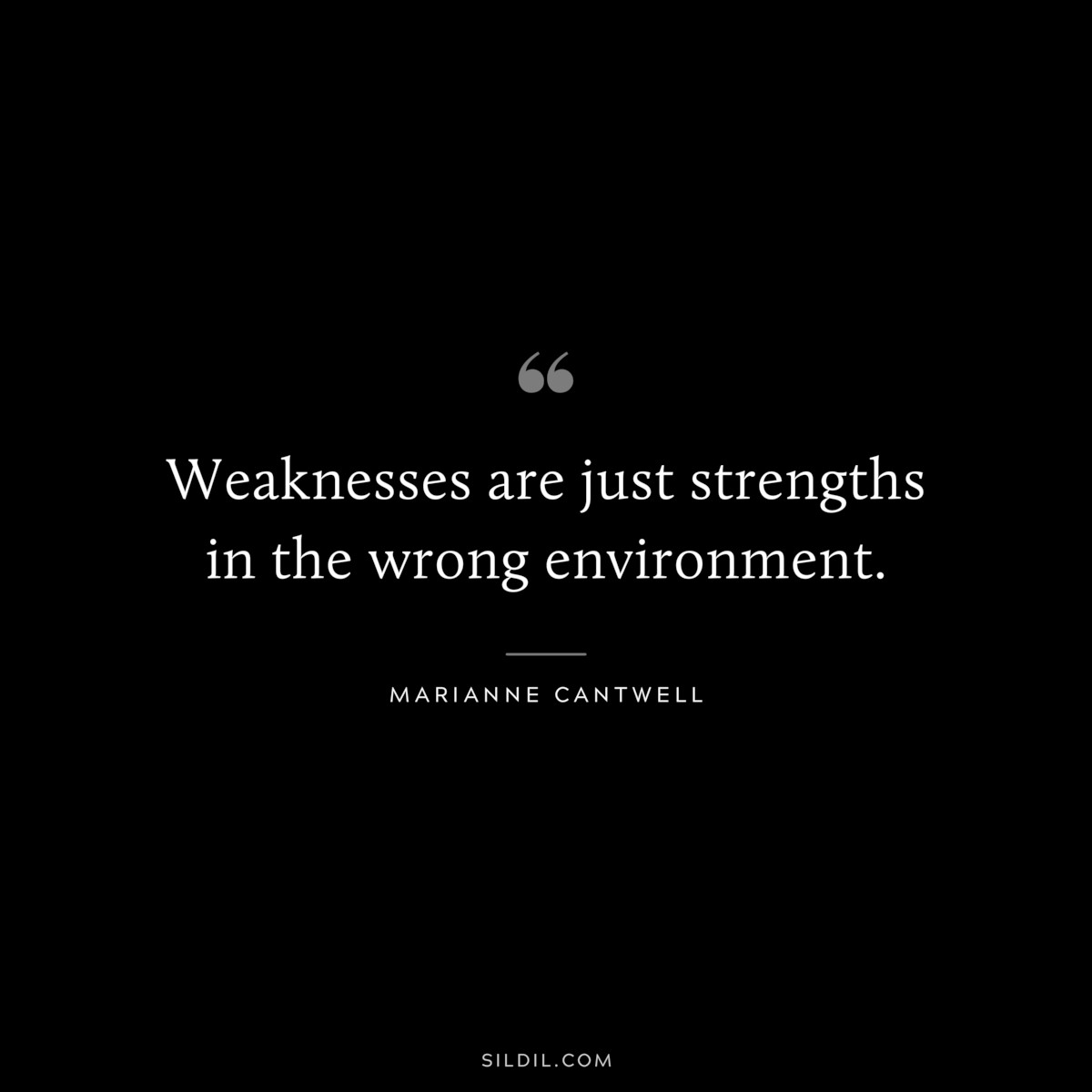 Weaknesses are just strengths in the wrong environment. ― Marianne Cantwell