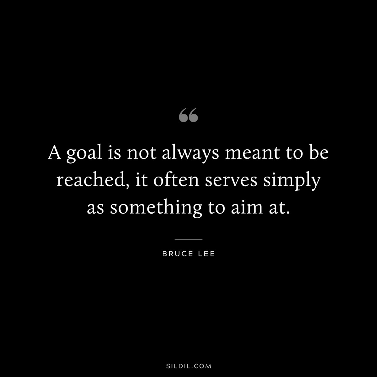 A goal is not always meant to be reached, it often serves simply as something to aim at. ― Bruce Lee