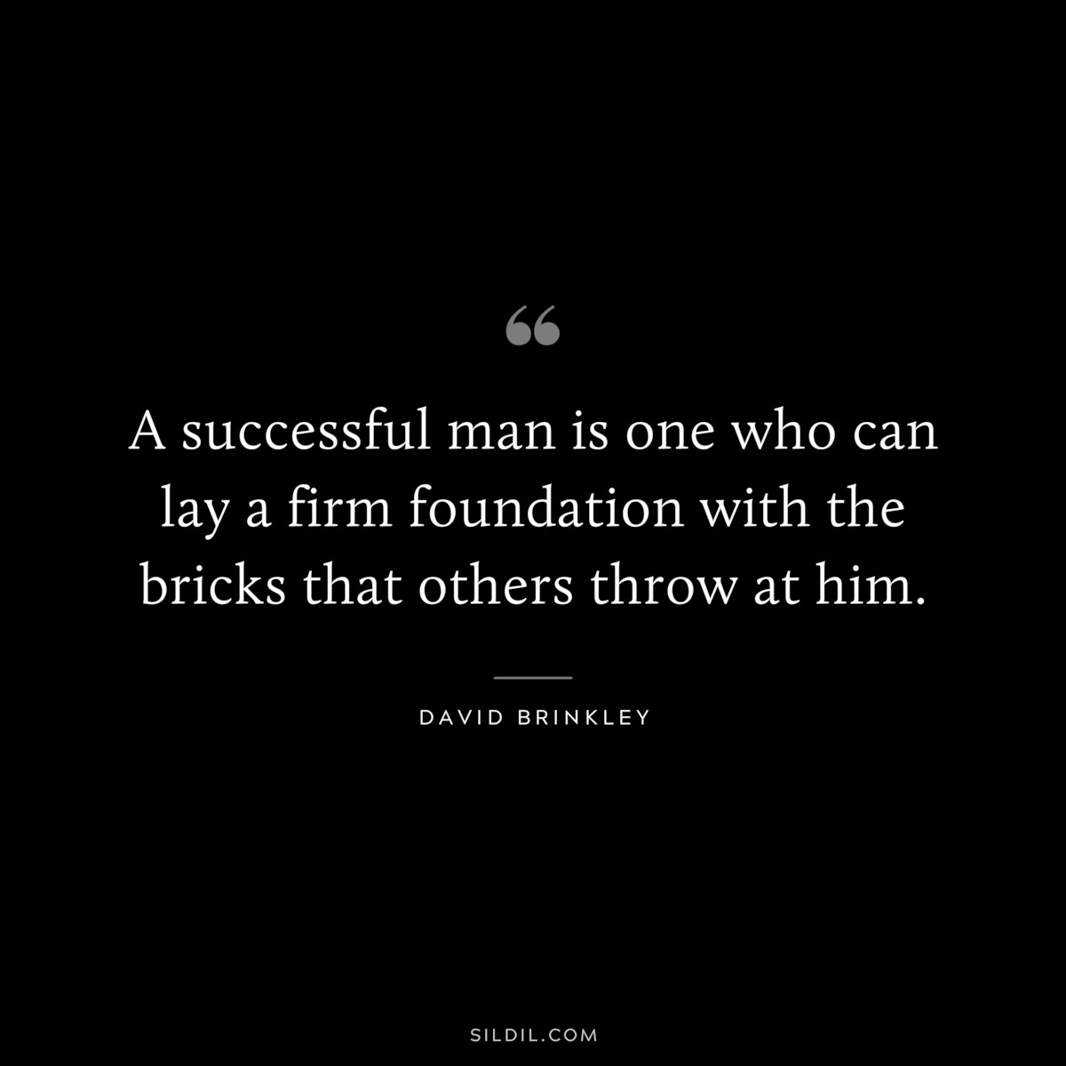 A successful man is one who can lay a firm foundation with the bricks that others throw at him. ― David Brinkley