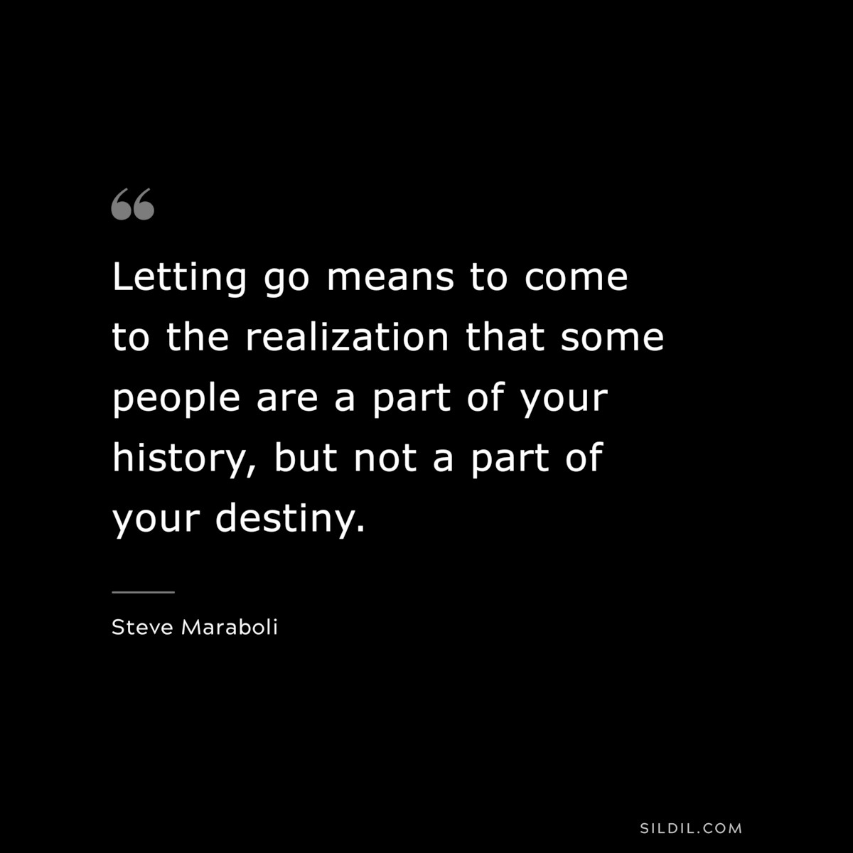 Letting go means to come to the realization that some people are a part of your history, but not a part of your destiny. ― Steve Maraboli