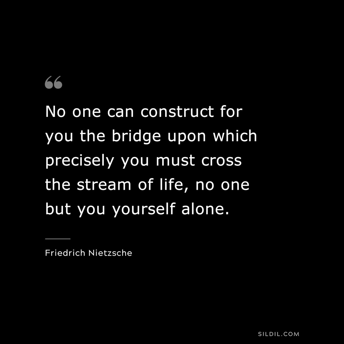 No one can construct for you the bridge upon which precisely you must cross the stream of life, no one but you yourself alone. ― Friedrich Nietzsche