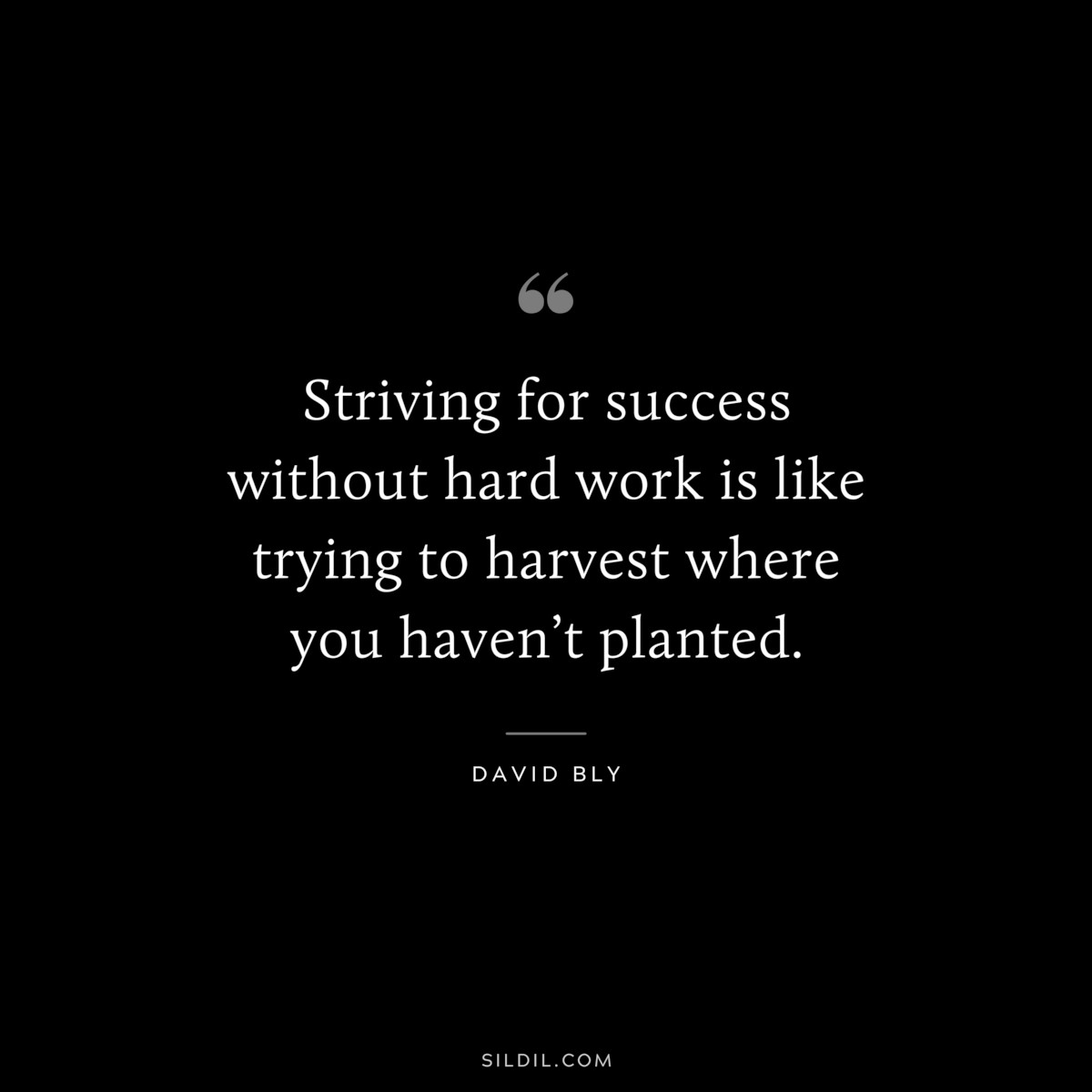 Striving for success without hard work is like trying to harvest where you haven’t planted. ― David Bly