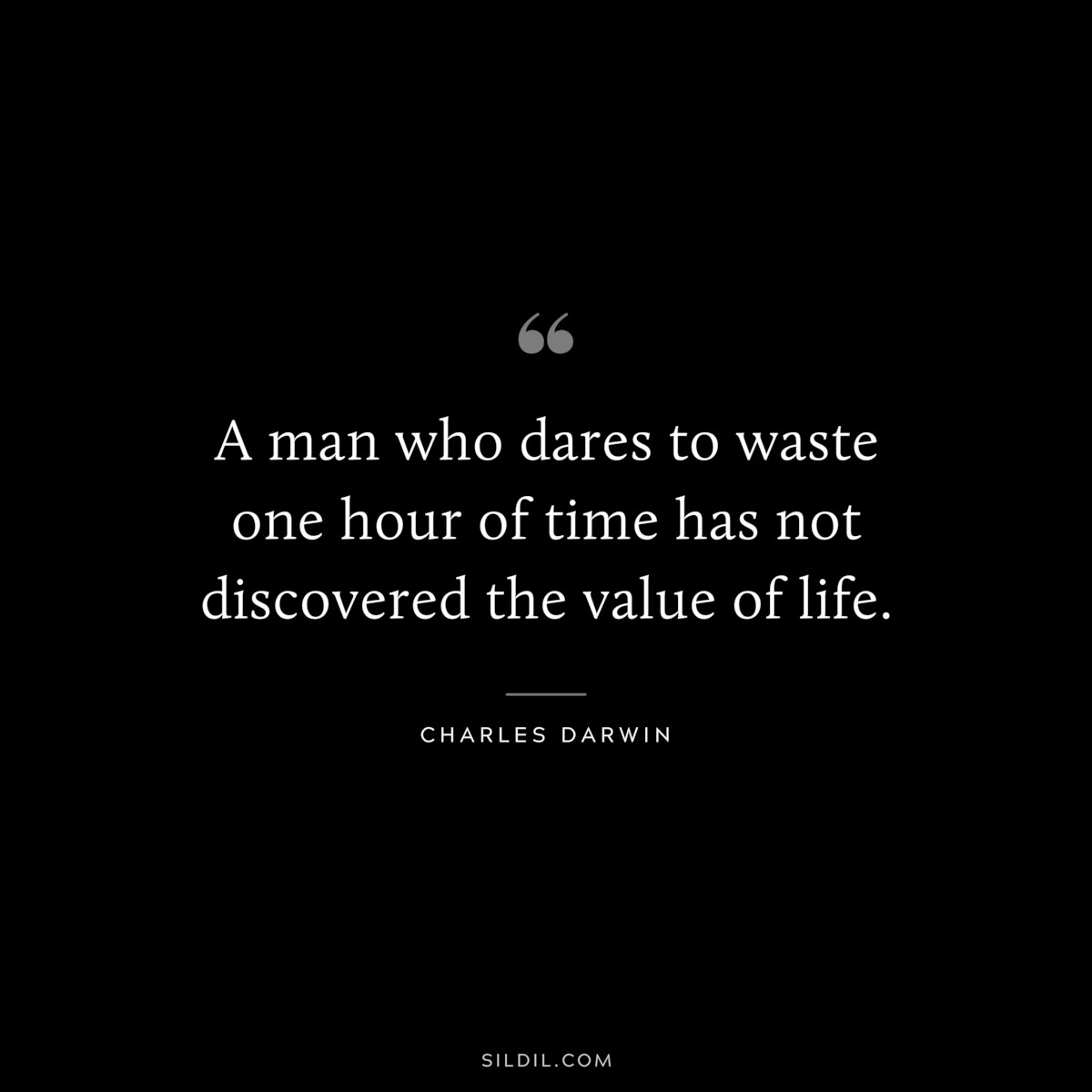 A man who dares to waste one hour of time has not discovered the value of life. ― Charles Darwin