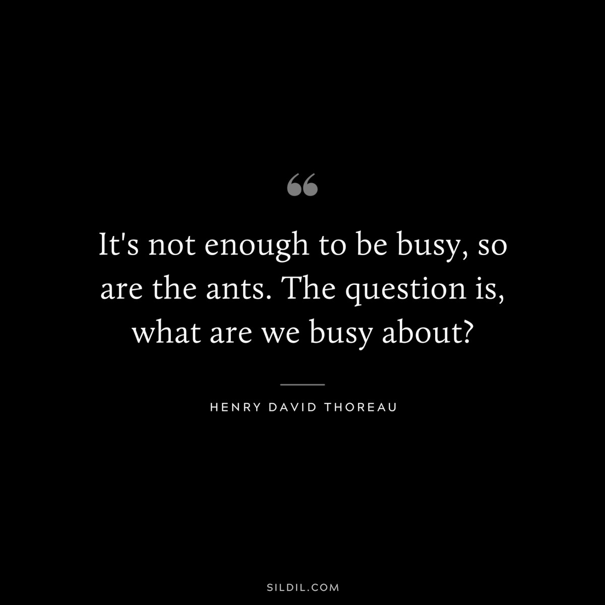 It's not enough to be busy, so are the ants. The question is, what are we busy about? ― Henry David Thoreau