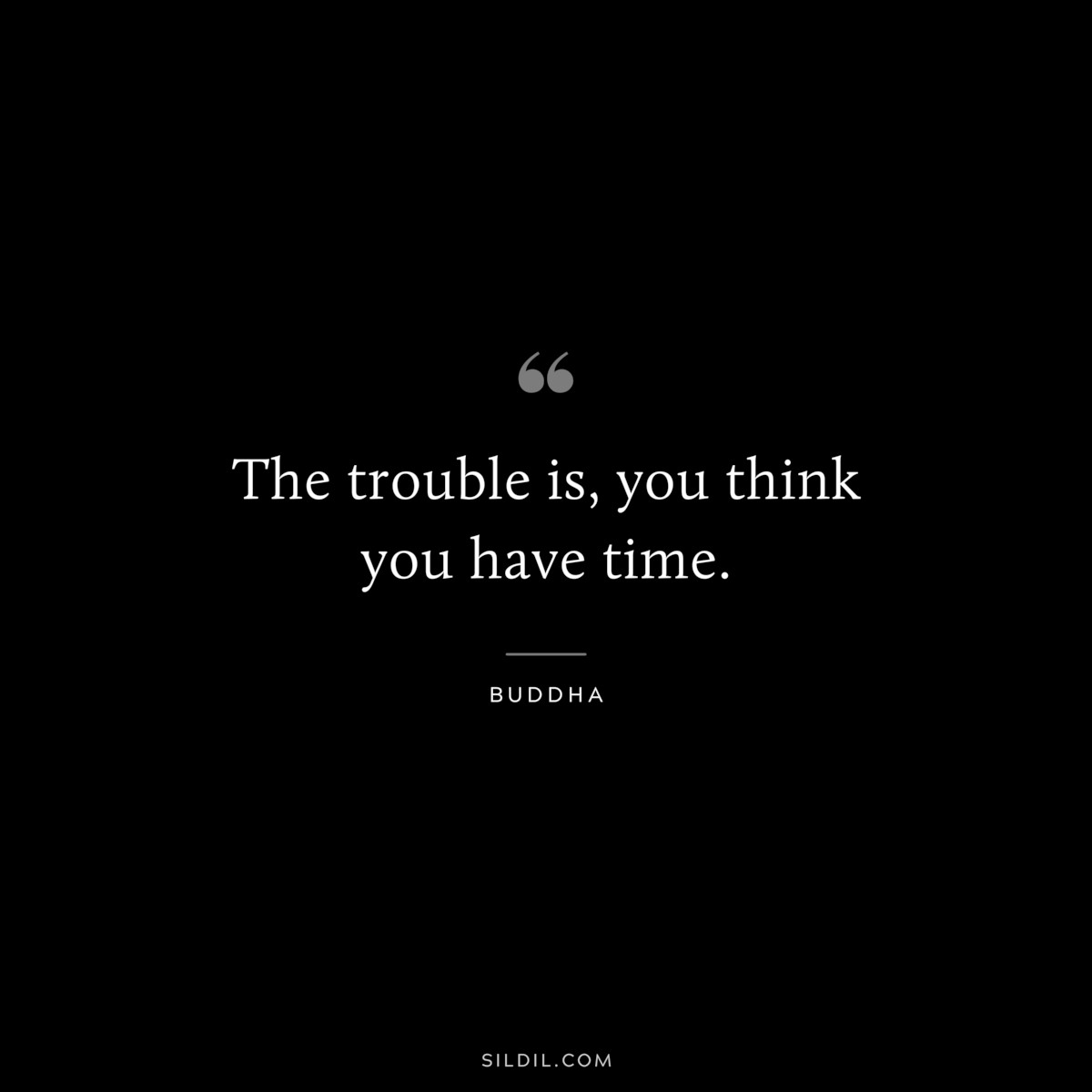 The trouble is, you think you have time. ― Buddha