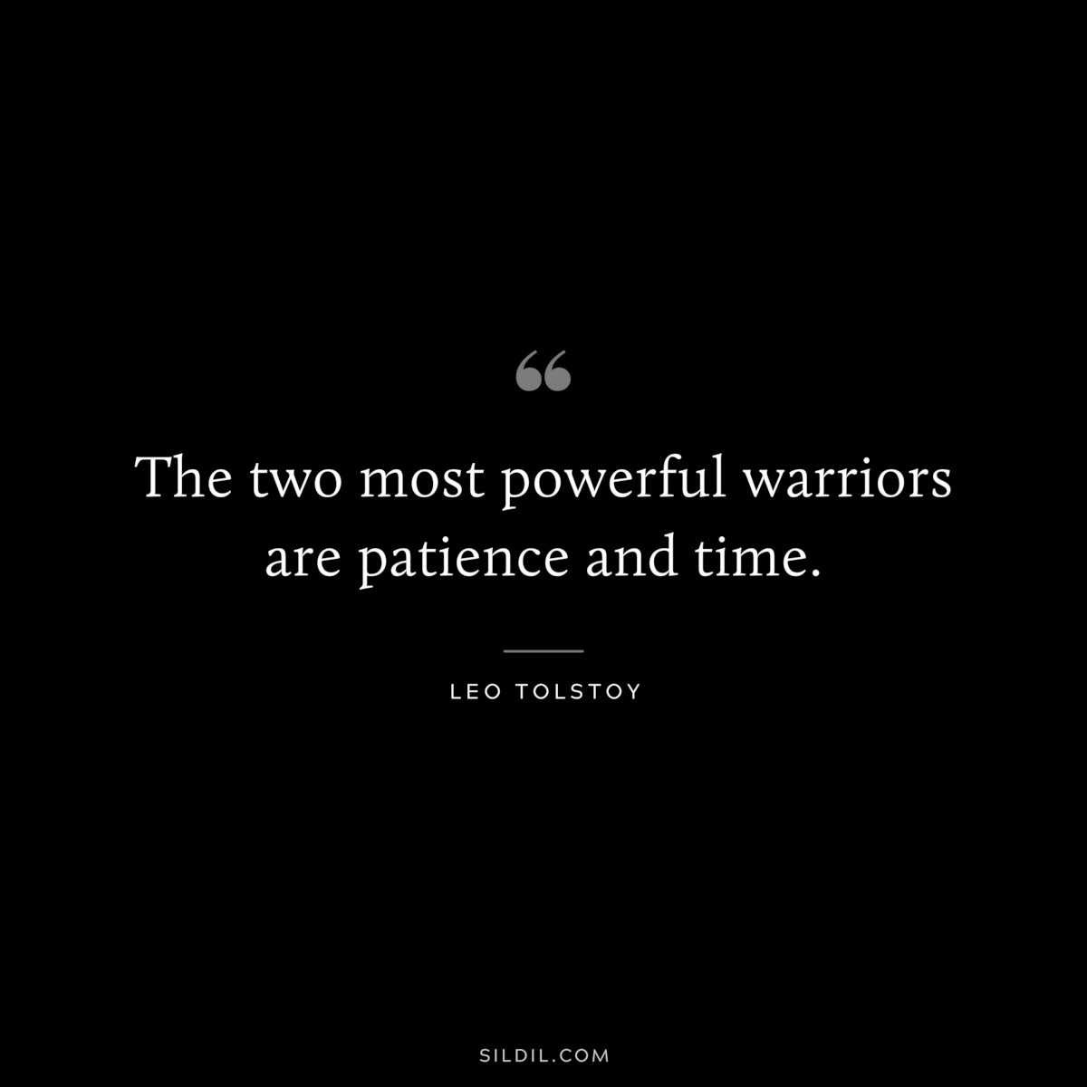 The two most powerful warriors are patience and time. ― Leo Tolstoy