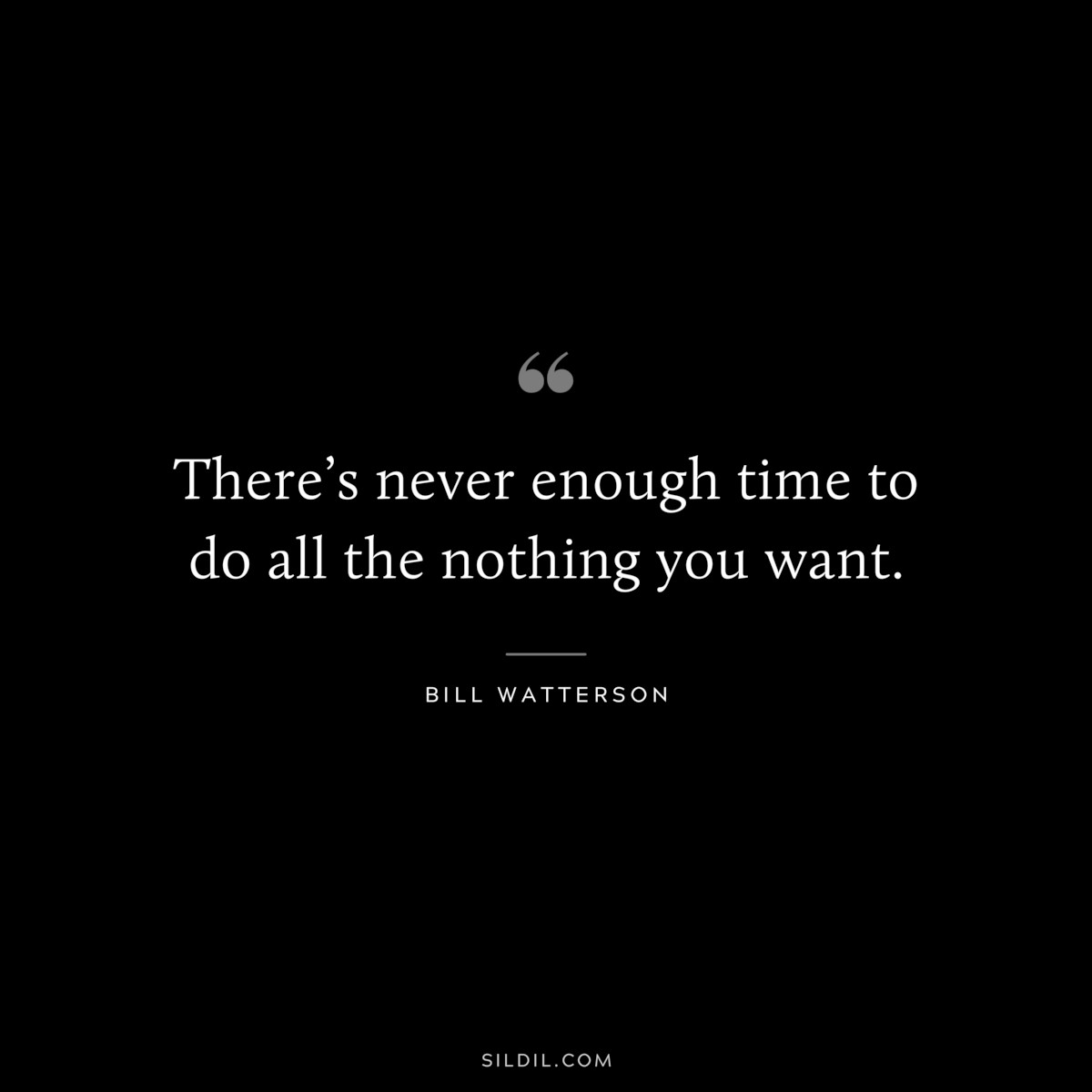 There’s never enough time to do all the nothing you want. ― Bill Watterson