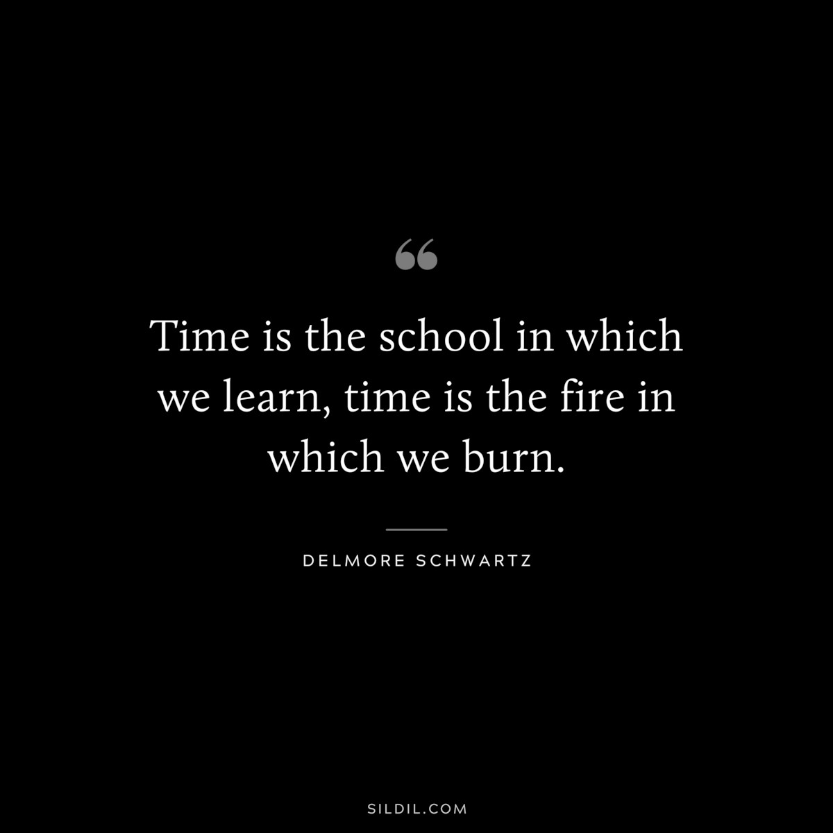 Time is the school in which we learn, time is the fire in which we burn. ― Delmore Schwartz