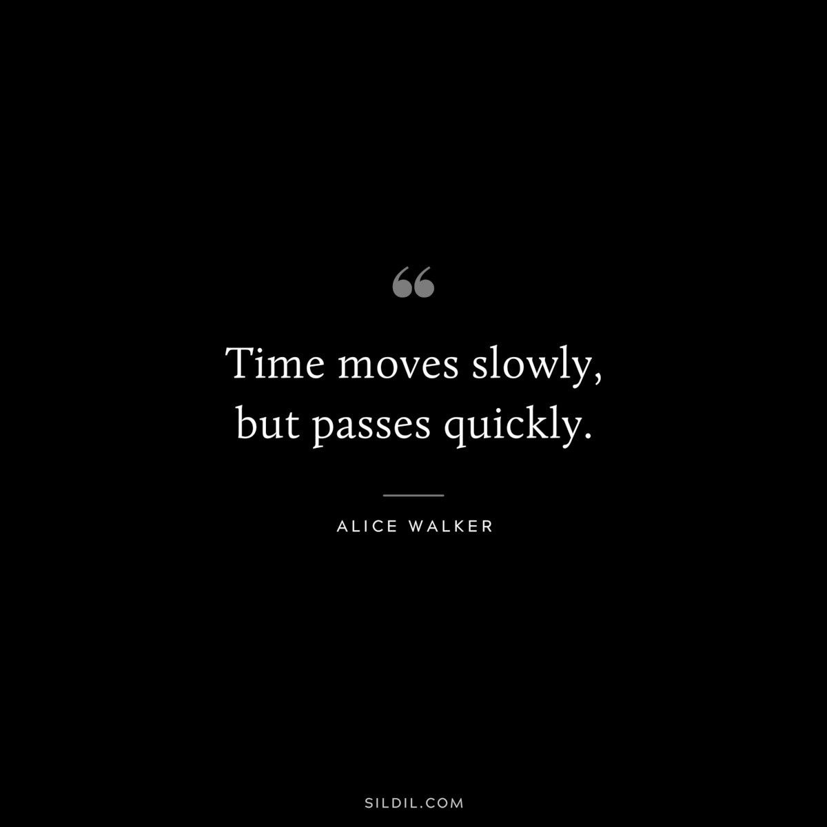 Time moves slowly, but passes quickly. ― Alice Walker