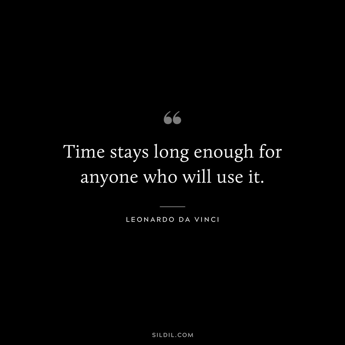 Time stays long enough for anyone who will use it. ― Leonardo da Vinci