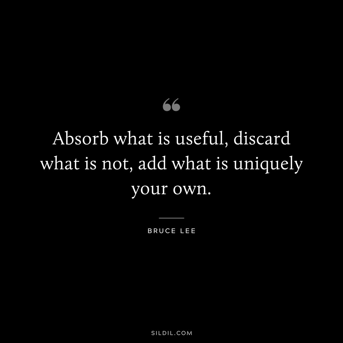 Absorb what is useful, discard what is not, add what is uniquely your own. ― Bruce Lee