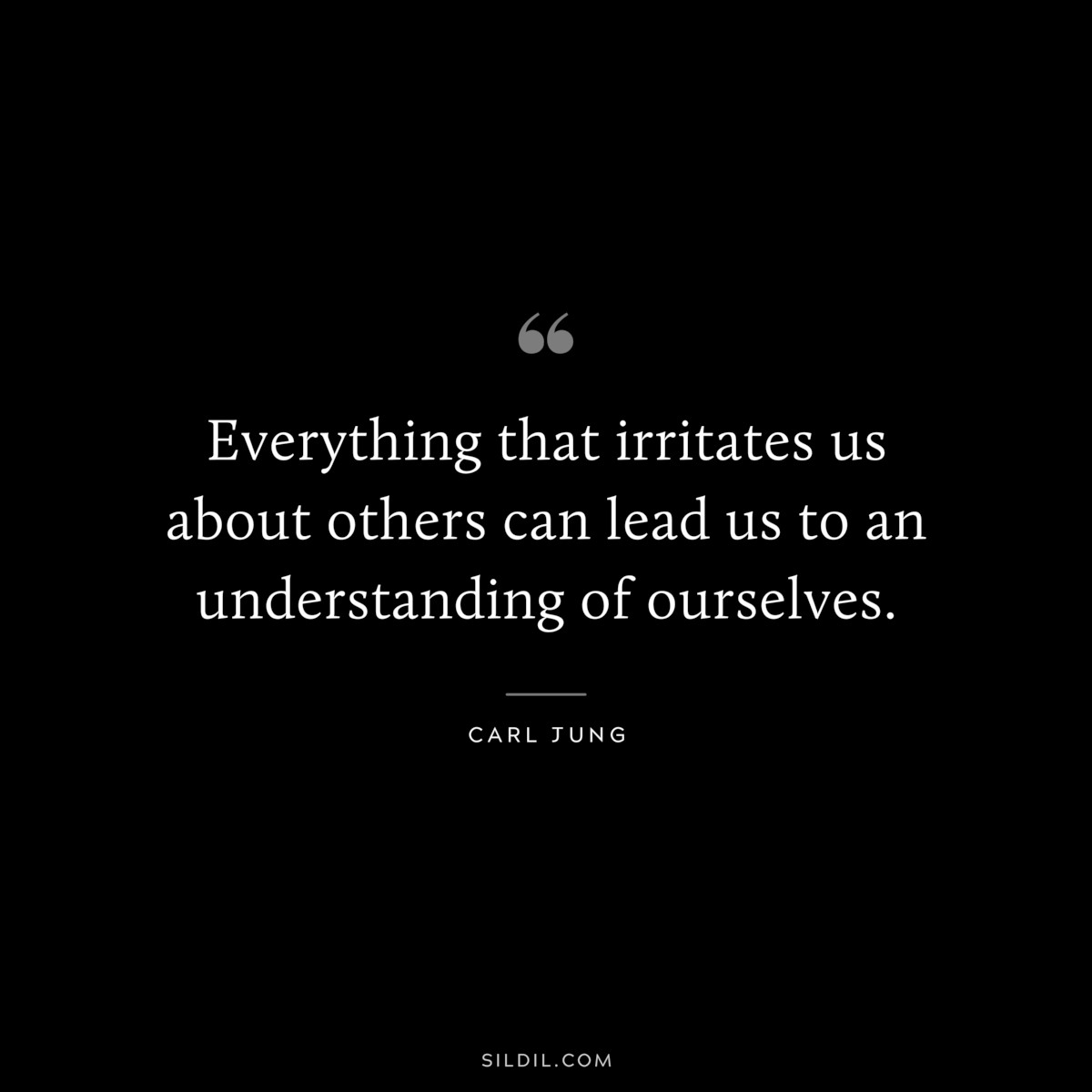 Everything that irritates us about others can lead us to an understanding of ourselves. ― Carl Jung