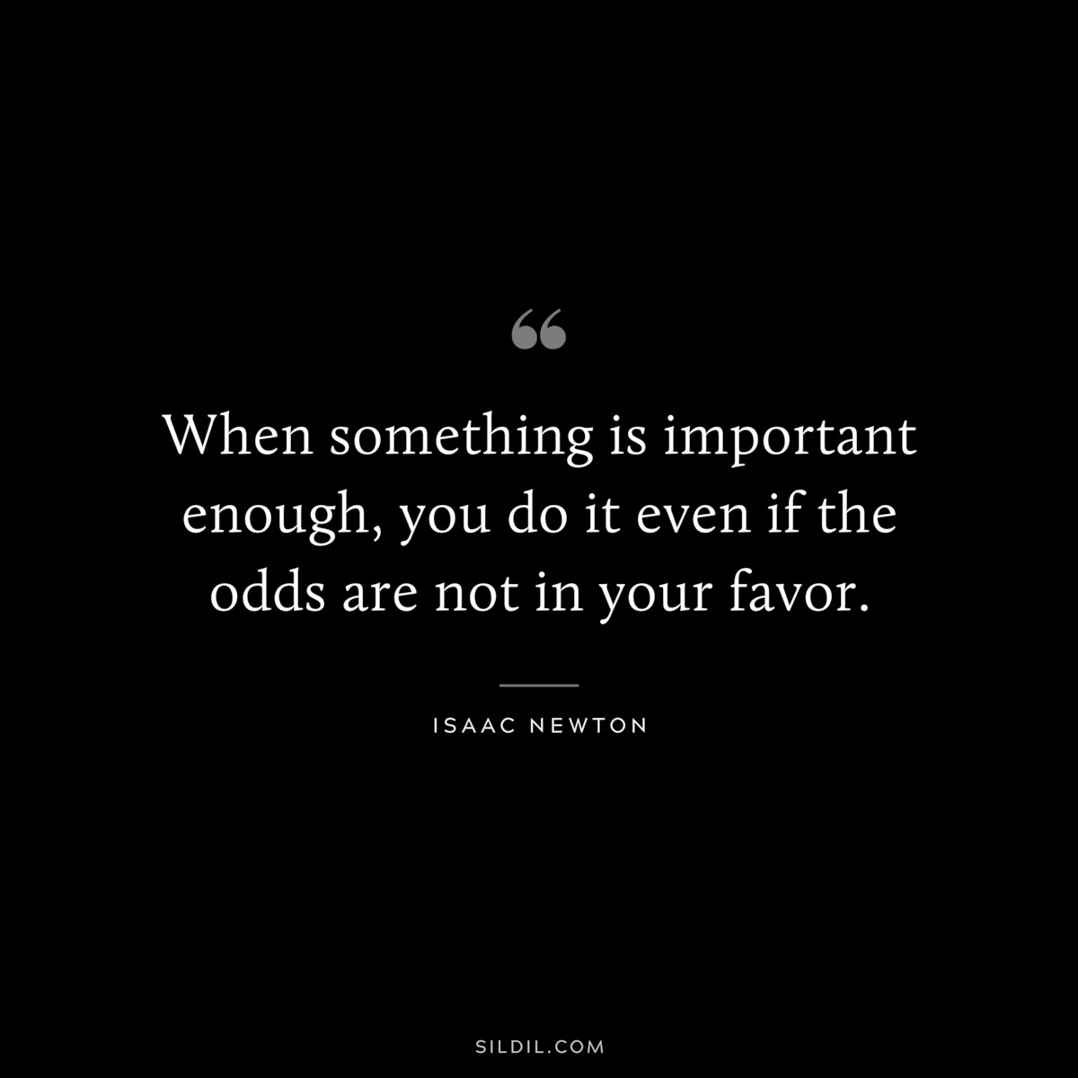 When something is important enough, you do it even if the odds are not in your favor. ― Elon Musk