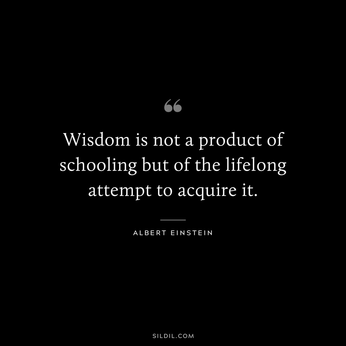 Wisdom is not a product of schooling but of the lifelong attempt to acquire it. ― Albert Einstein