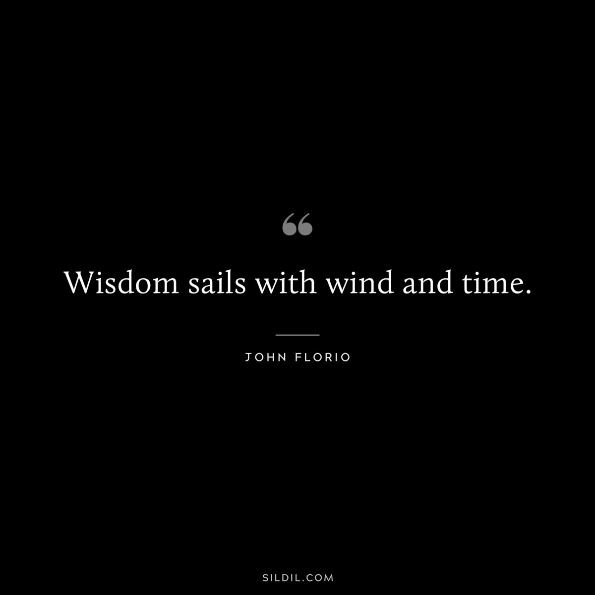Wisdom sails with wind and time. ― John Florio