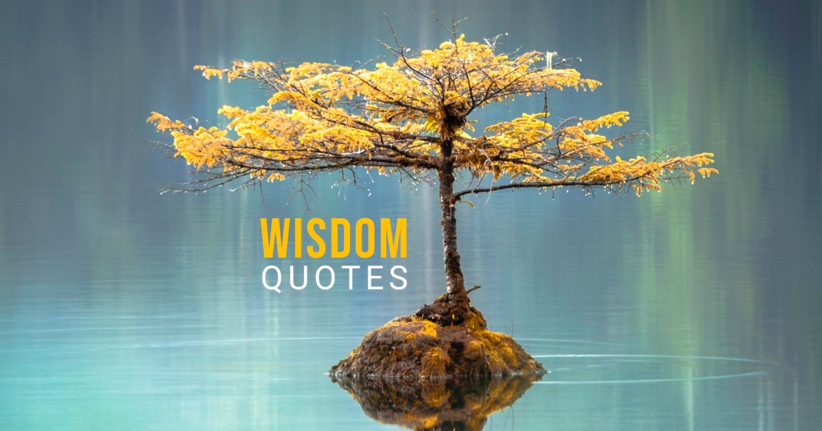 81 Wisdom Quotes to Make You Wiser and Intelligent