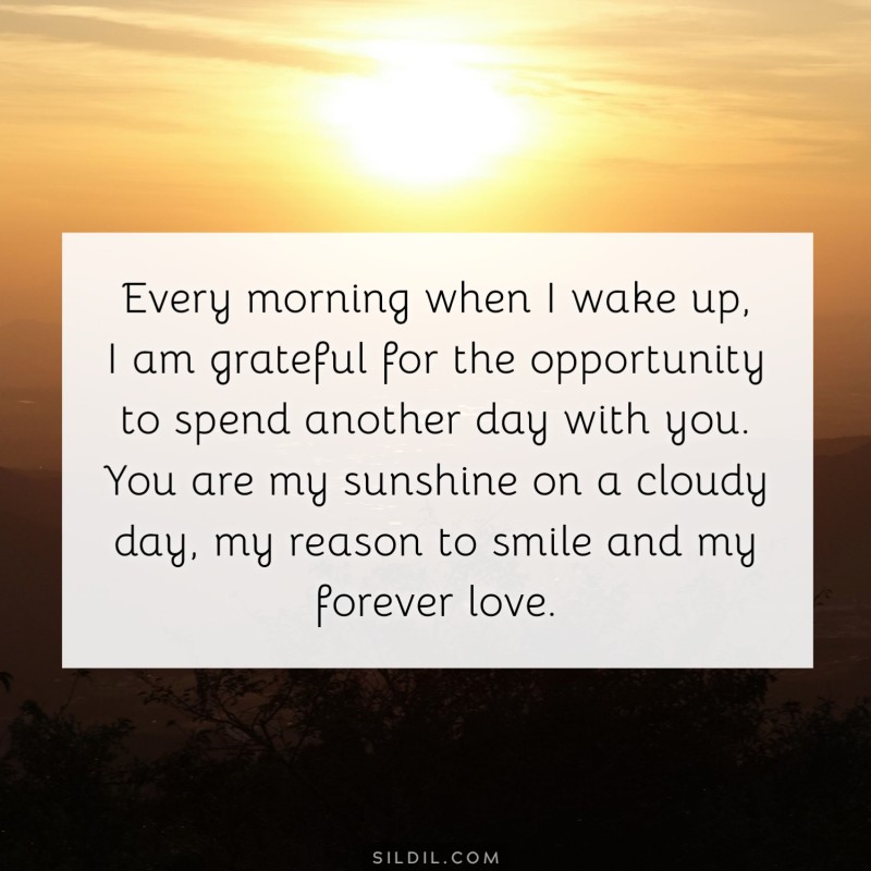 Every morning when I wake up, I am grateful for the opportunity to spend another day with you. You are my sunshine on a cloudy day, my reason to smile and my forever love.