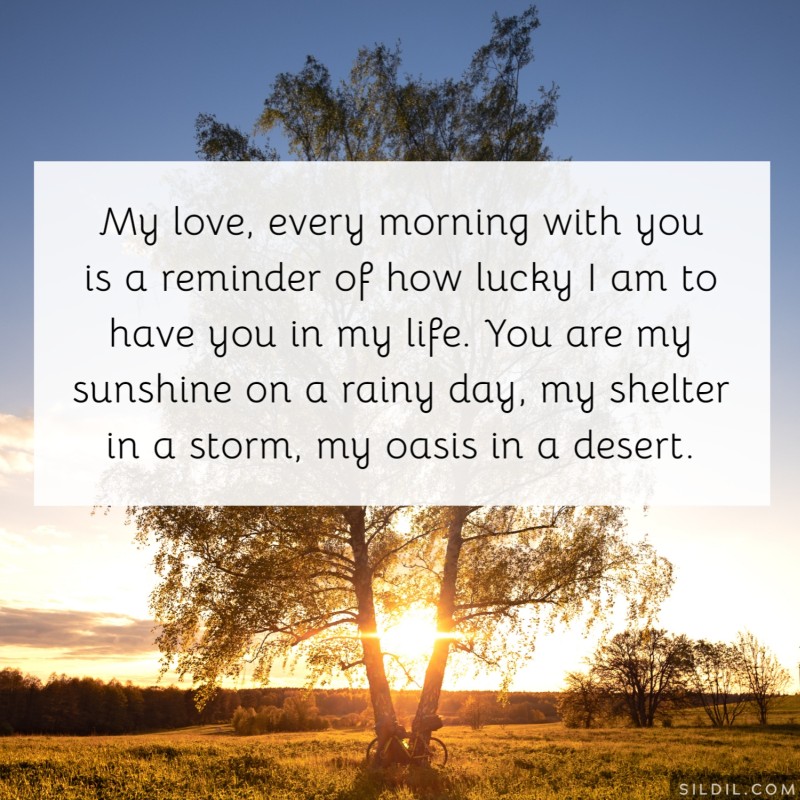 My love, every morning with you is a reminder of how lucky I am to have you in my life. You are my sunshine on a rainy day, my shelter in a storm, my oasis in a desert.