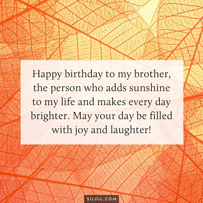 Brother Birthday Wishes From Brother