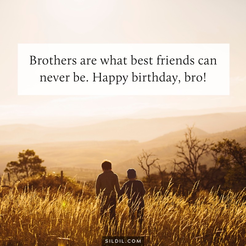 Happy Birthday Brother Quotes