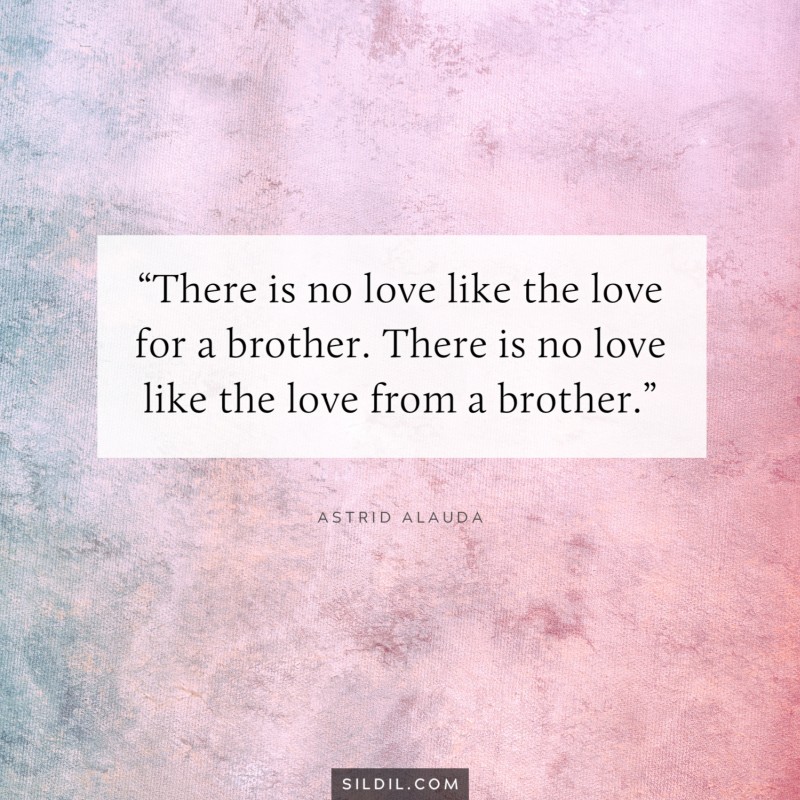 There is no love like the love for a brother. There is no love like the love from a brother. ― Astrid Alauda