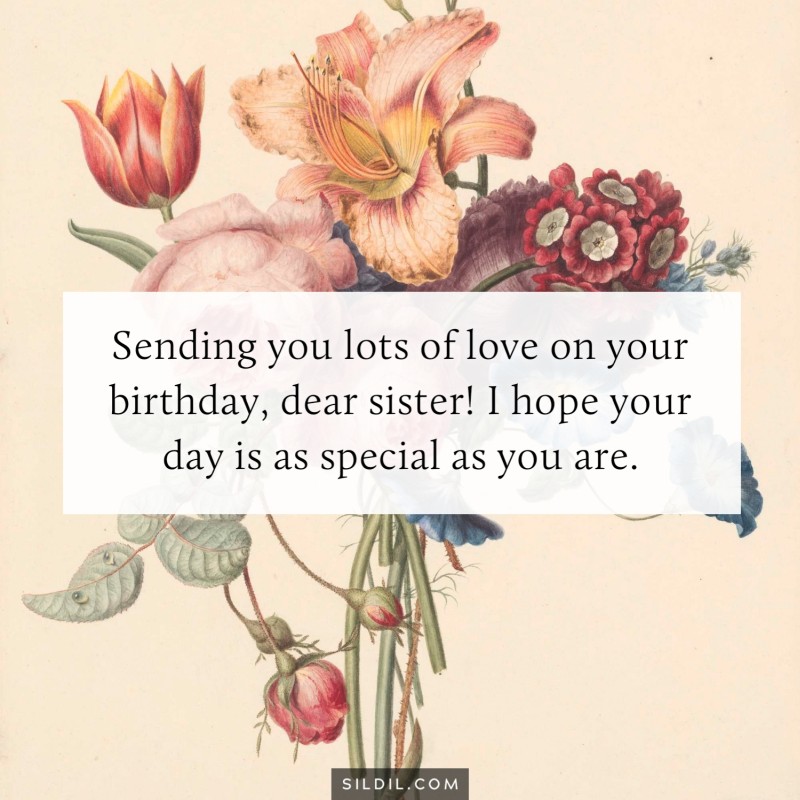 Sending you lots of love on your birthday, dear sister! I hope your day is as special as you are.