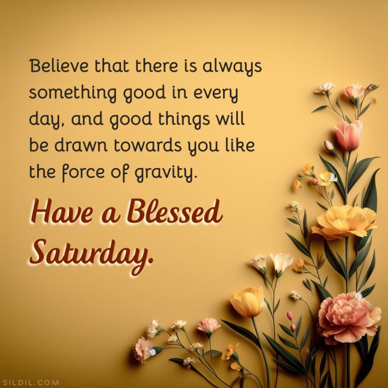 Believe that there is always something good in every day, and good things will be drawn towards you like the force of gravity. Have a blessed Saturday.