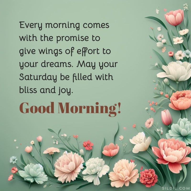Every morning comes with the promise to give wings of effort to your dreams. May your Saturday be filled with bliss and joy. Good morning!