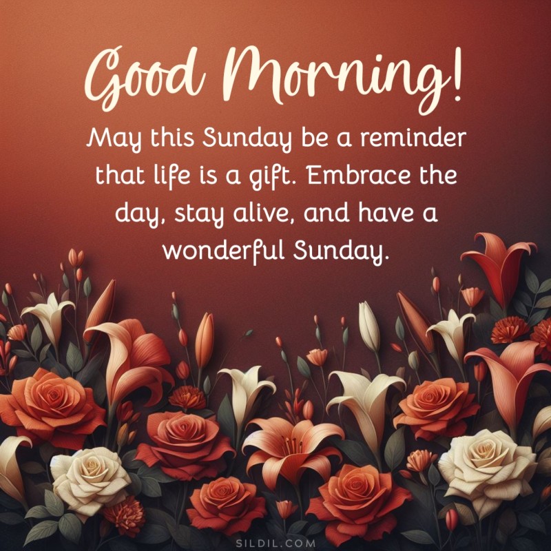 May this Sunday be a reminder that life is a gift. Embrace the day, stay alive, and have a wonderful Sunday. Good morning!