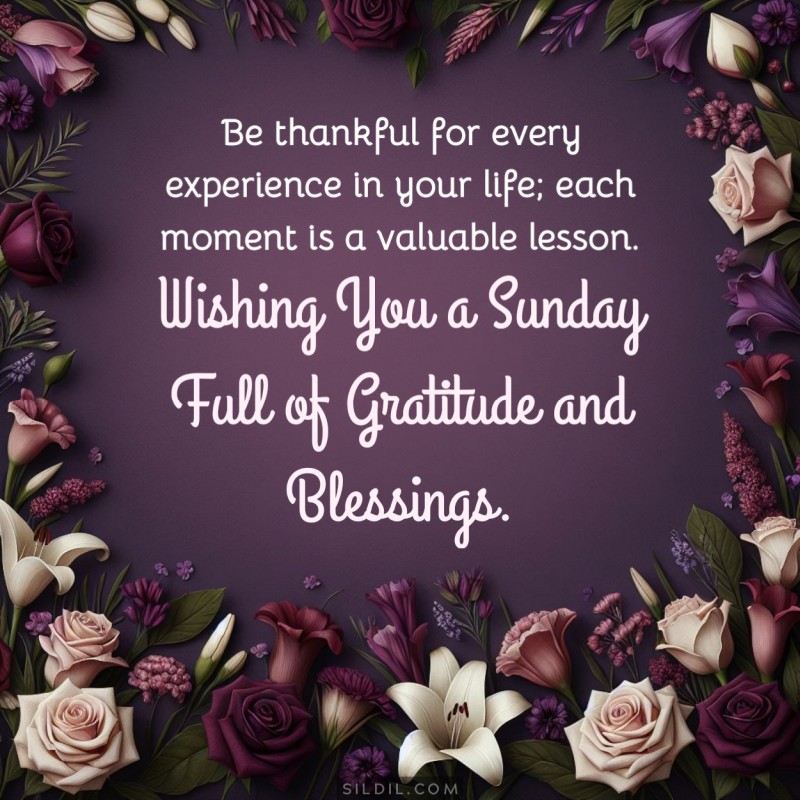 Thankful Sunday Blessings
