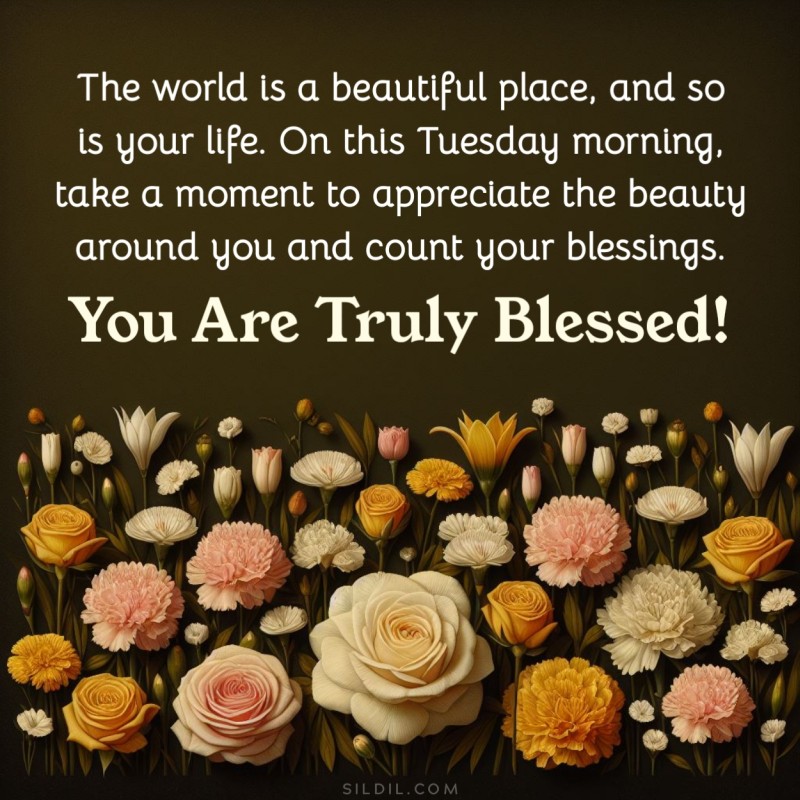 The world is a beautiful place, and so is your life. On this Tuesday morning, take a moment to appreciate the beauty around you and count your blessings. You are truly blessed!